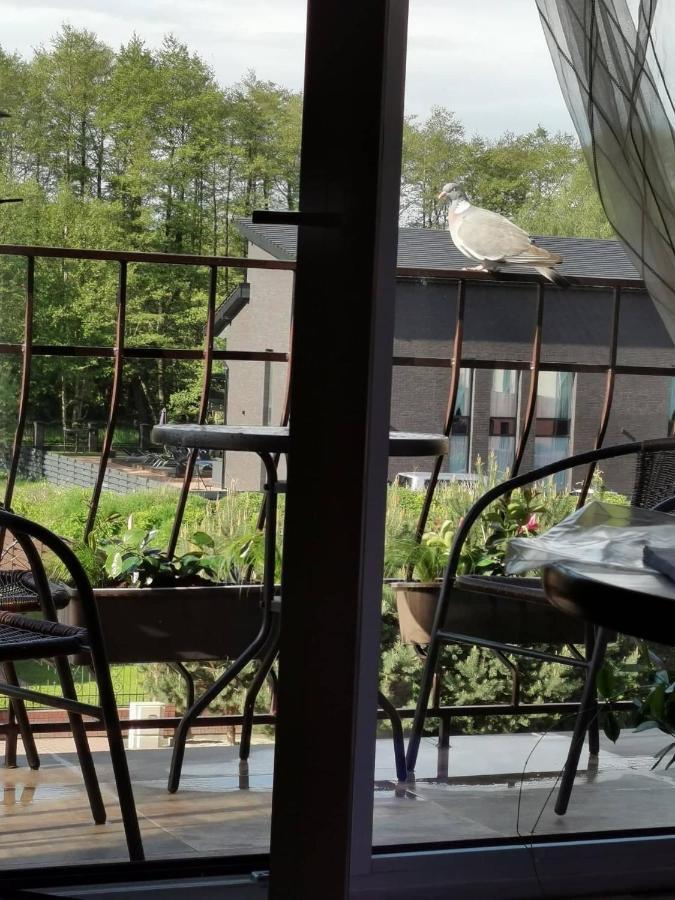 Neringa Apartamentai Palanga Eksteriør bilde